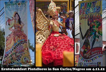 Pintaflores-Festival